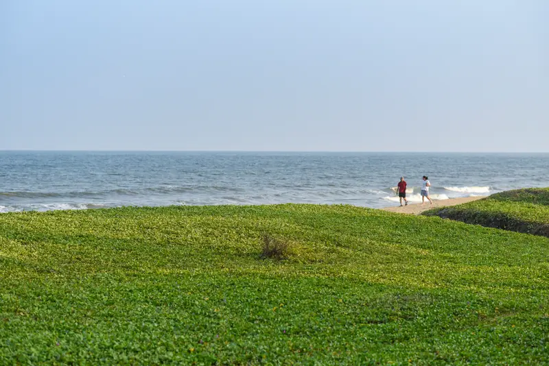 The shore, a short walk away
