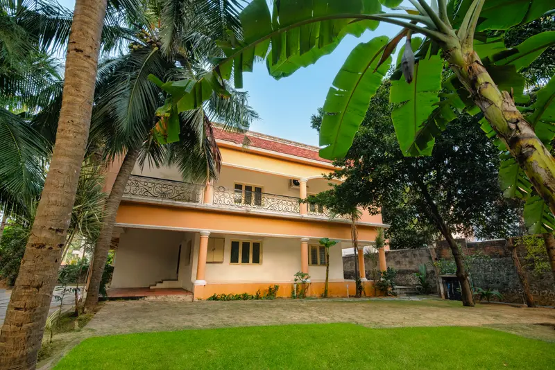 The house from the lawn, framed by its own palms