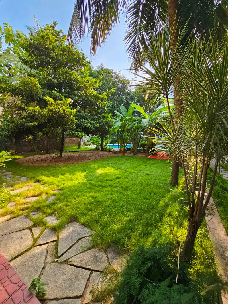 The lawn, with the pool at the far end
