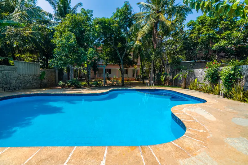 The big free-form pool